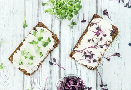 veganer quark auf brot mit sprossen